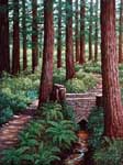 Oil painting of path through Redwoods.