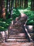 Oil painting of rock stairs and redwoods.